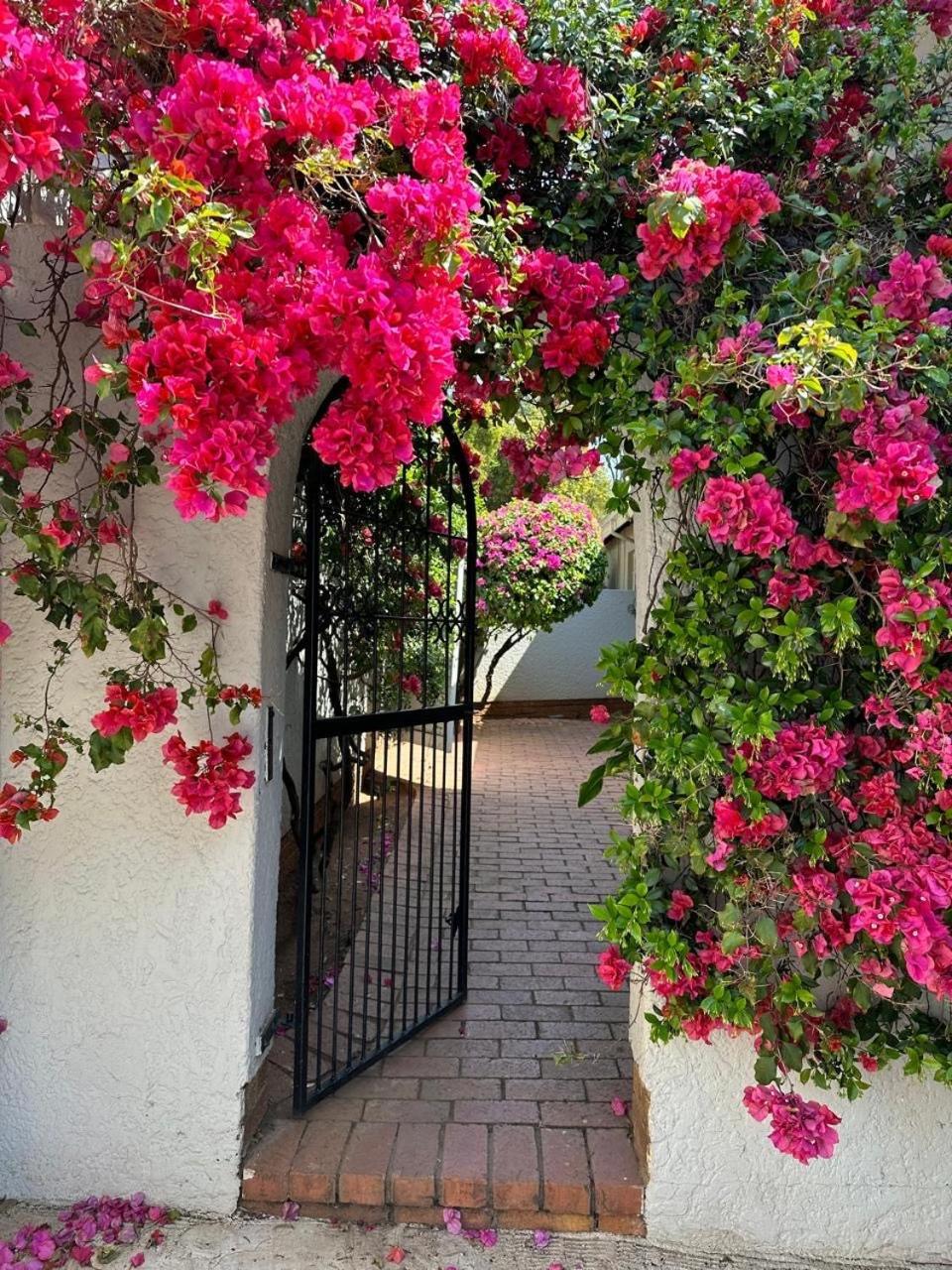 Bagley Terrace 136 Cottage Johannesburg Exterior foto